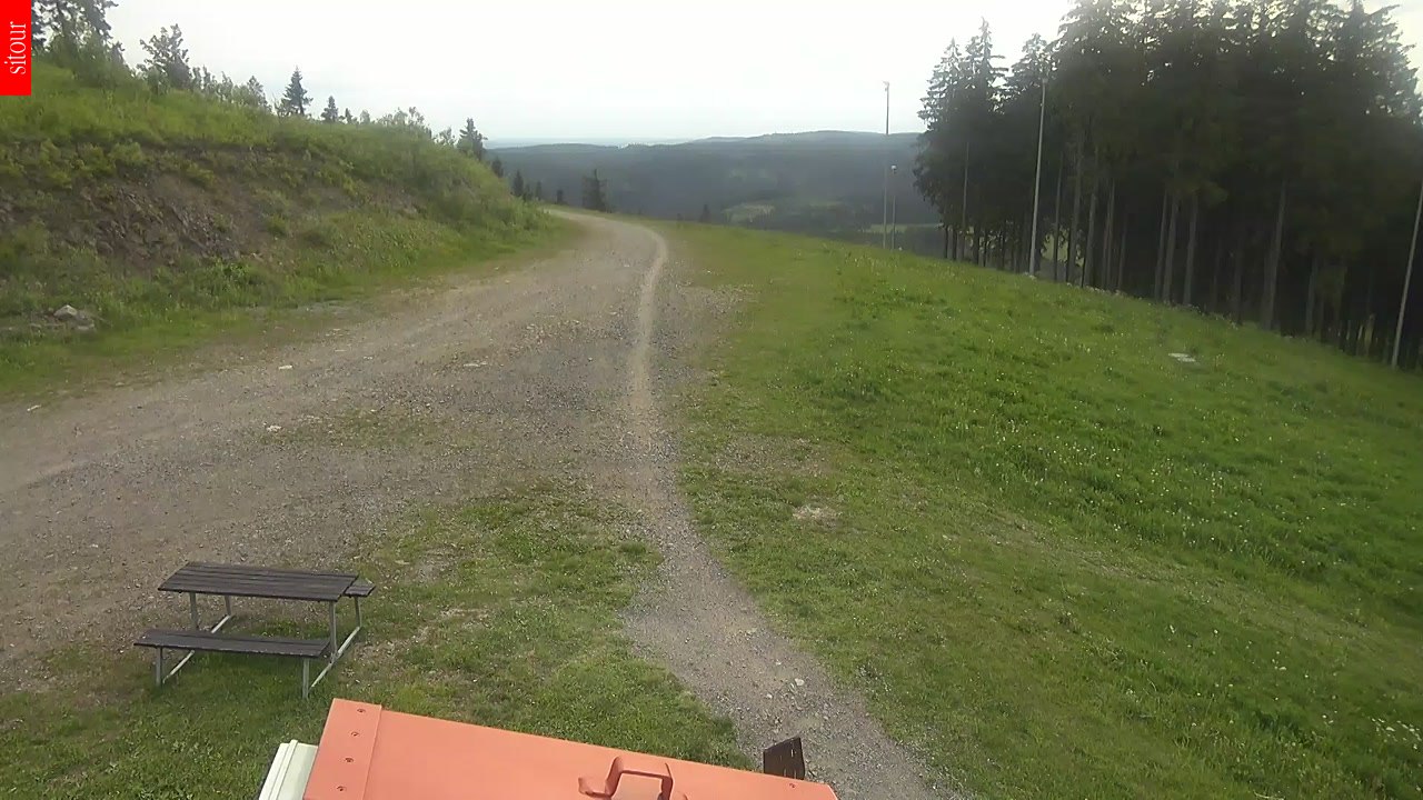 PLEŠIVEC