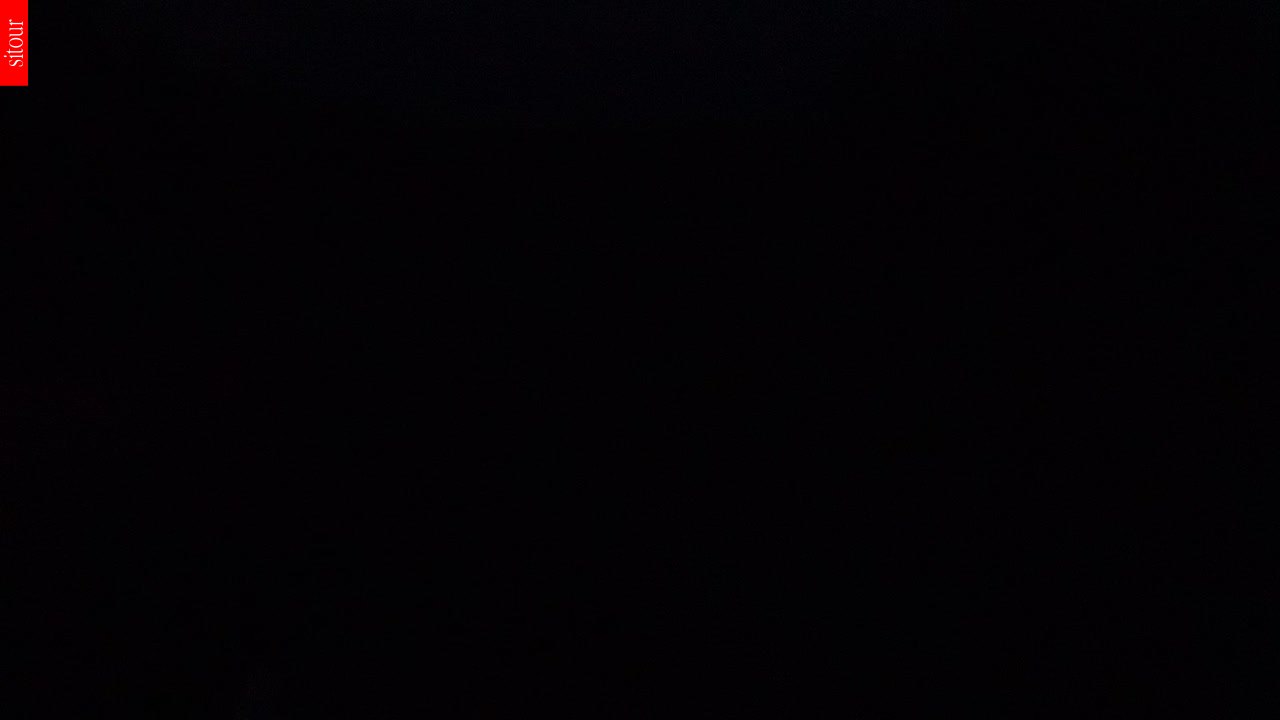 PLEŠIVEC