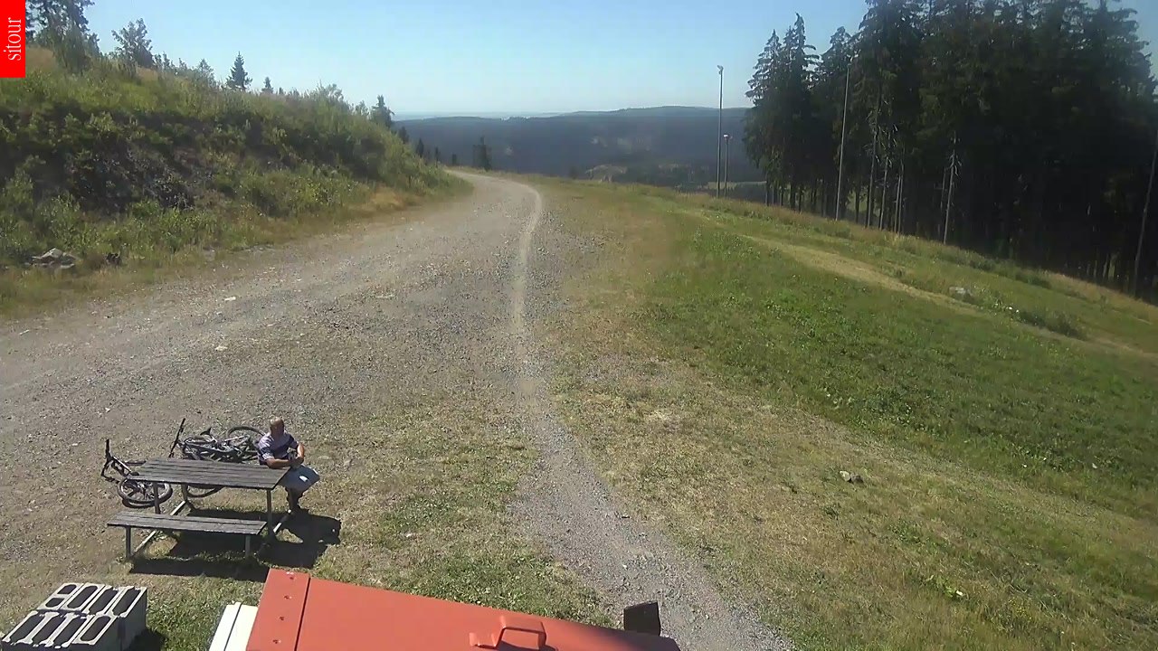 PLEŠIVEC