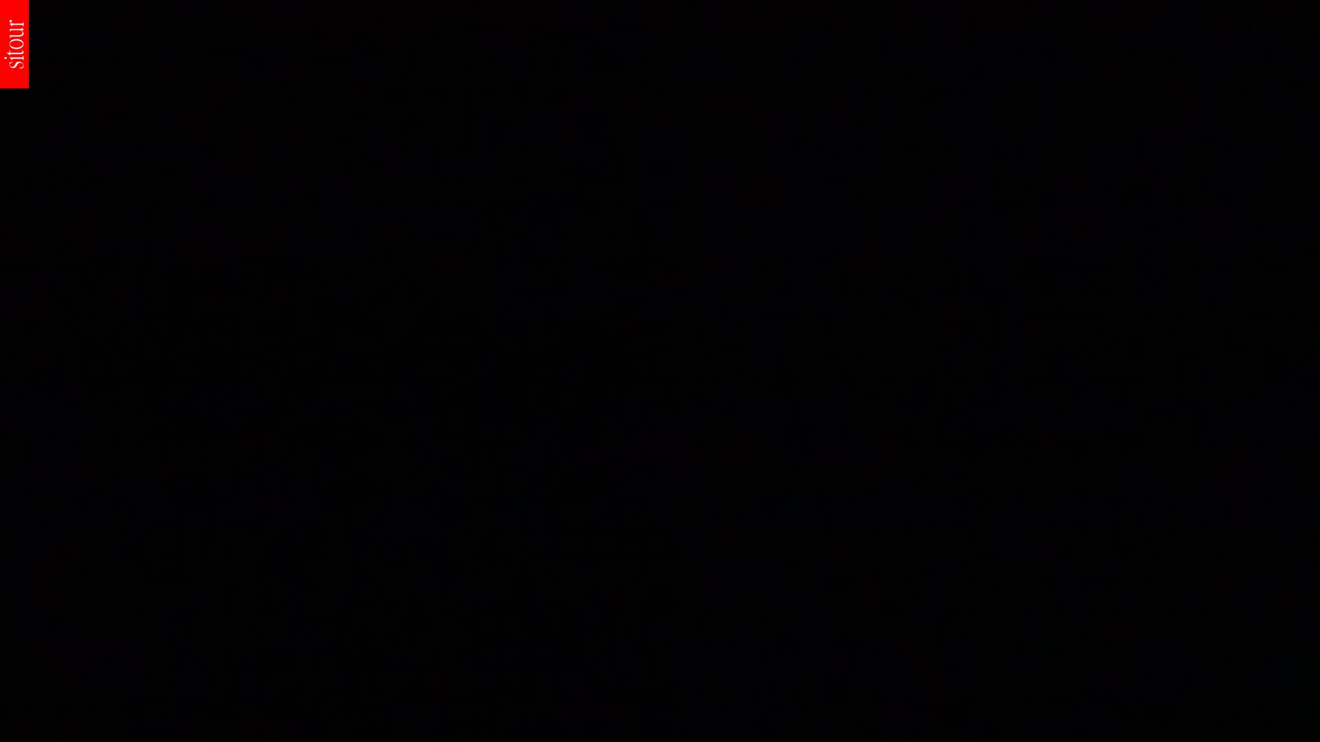 PLEŠIVEC